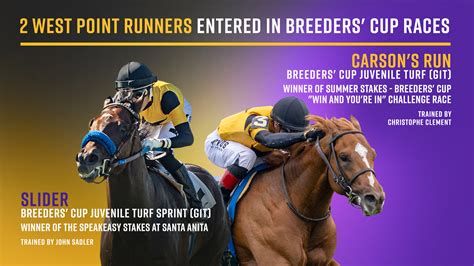 Race to Mohegan Sun For The 2010 Breeders' Cup World .